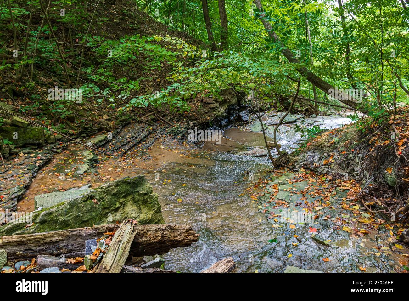 Lower West Cliff Falls Niagara Escarpment Dundas Valley Hamilton Ontario Kanada Stockfoto