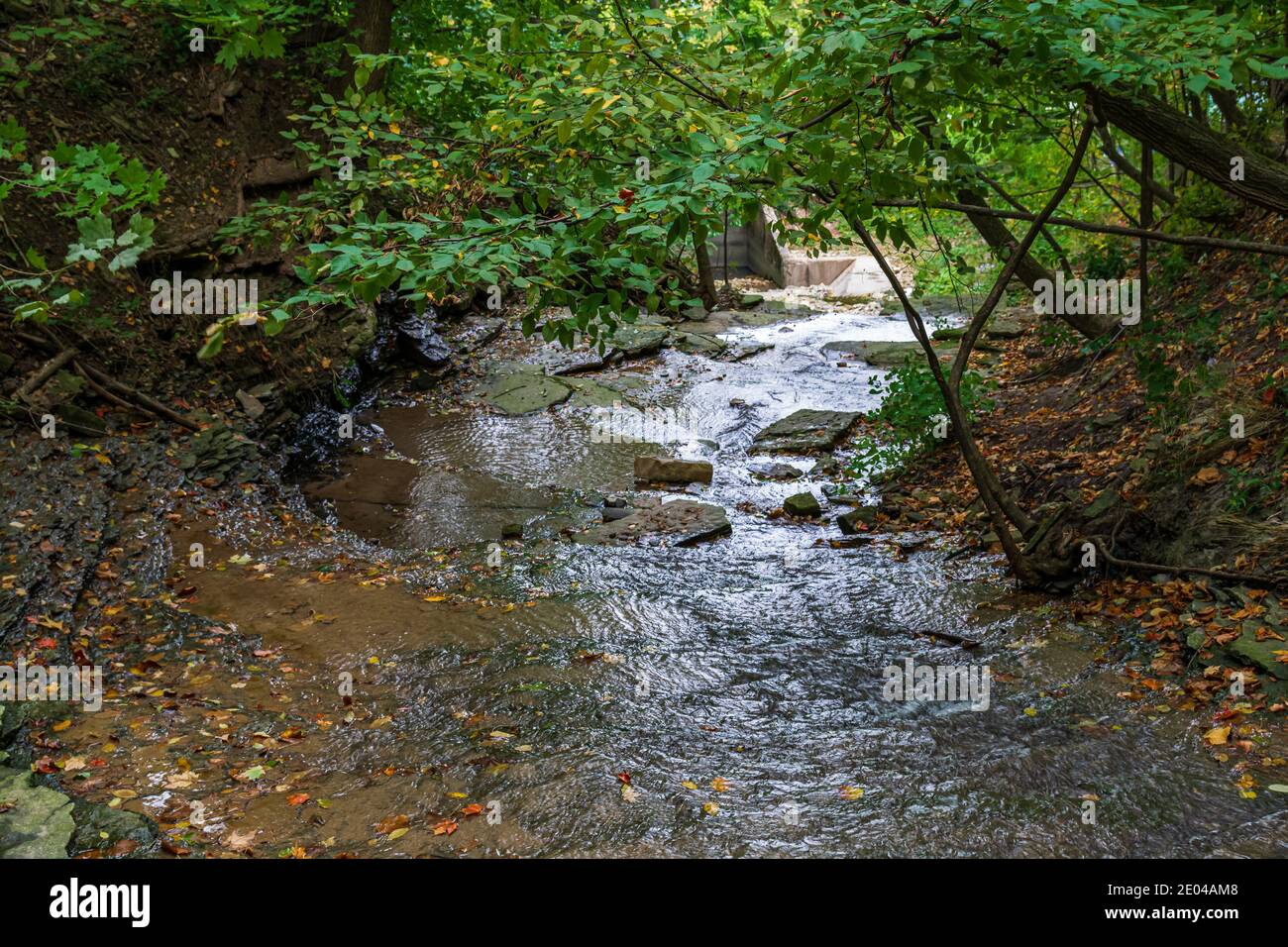 Lower West Cliff Falls Niagara Escarpment Dundas Valley Hamilton Ontario Kanada Stockfoto