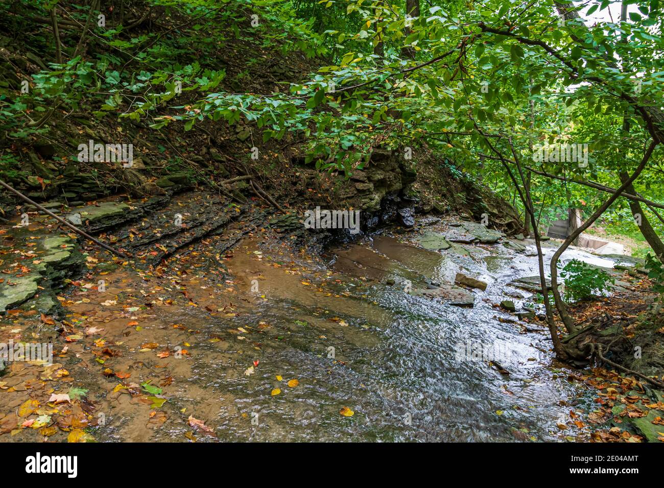 Lower West Cliff Falls Niagara Escarpment Dundas Valley Hamilton Ontario Kanada Stockfoto