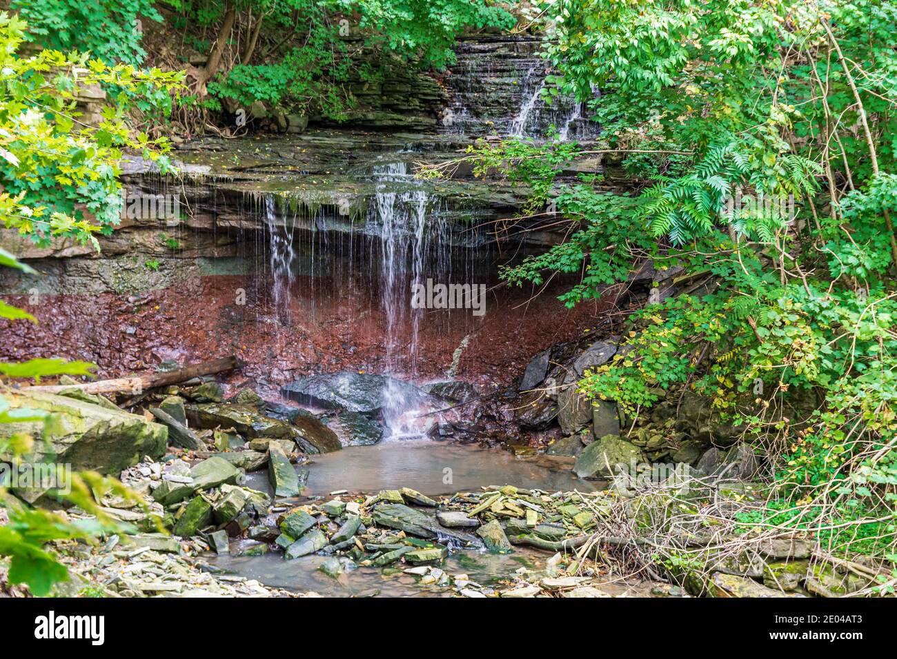 Lower West Cliff Falls Niagara Escarpment Dundas Valley Hamilton Ontario Kanada Stockfoto