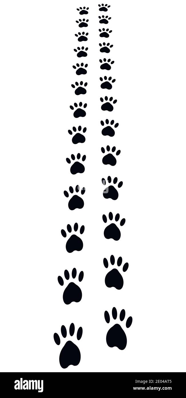 Paw Trail, Paw Prints Tierkatzen Hund Fußabdrücke, Vektor Weg Perspektive Stock Vektor