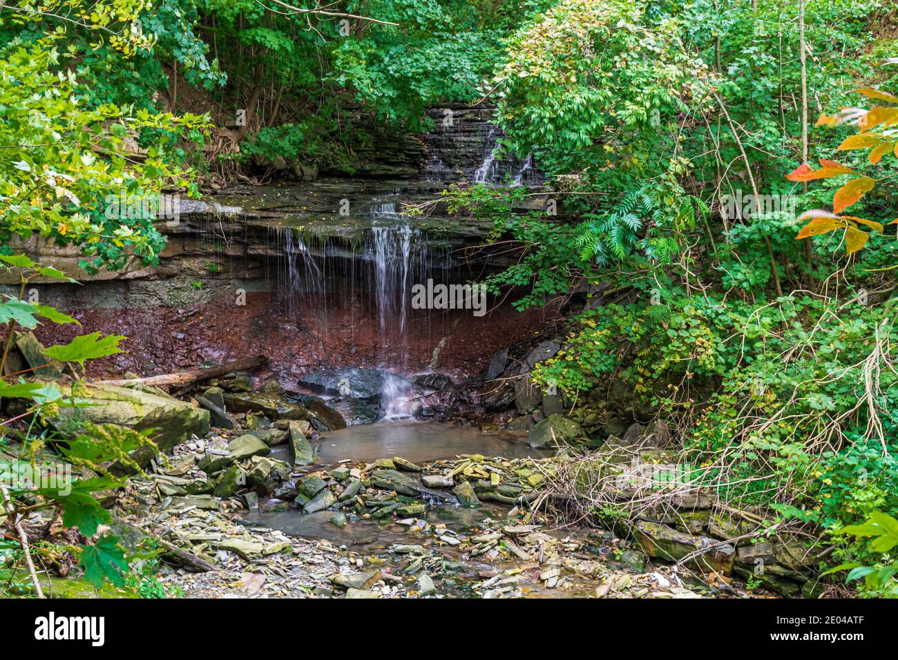 Lower West Cliff Falls Niagara Escarpment Dundas Valley Hamilton Ontario Kanada Stockfoto