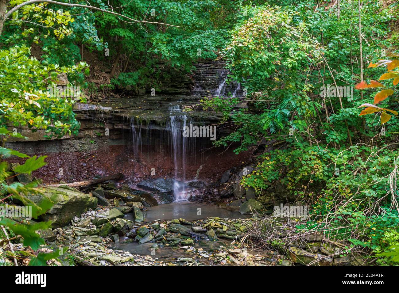 Lower West Cliff Falls Niagara Escarpment Dundas Valley Hamilton Ontario Kanada Stockfoto
