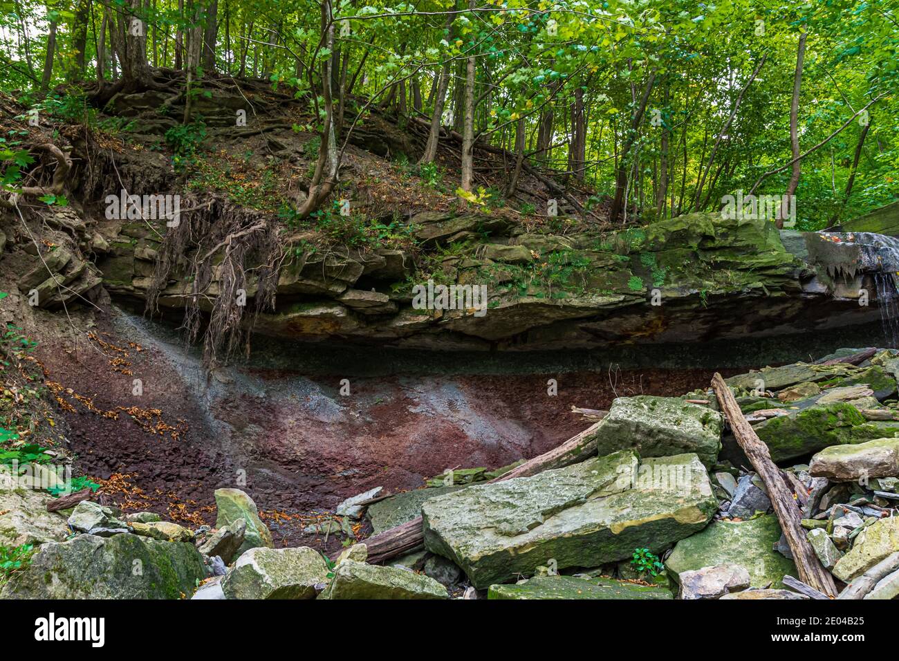 Lower West Cliff Falls Niagara Escarpment Dundas Valley Hamilton Ontario Kanada Stockfoto