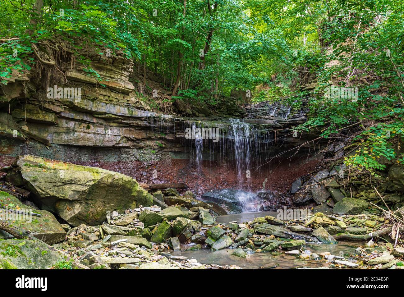 Lower West Cliff Falls Niagara Escarpment Dundas Valley Hamilton Ontario Kanada Stockfoto