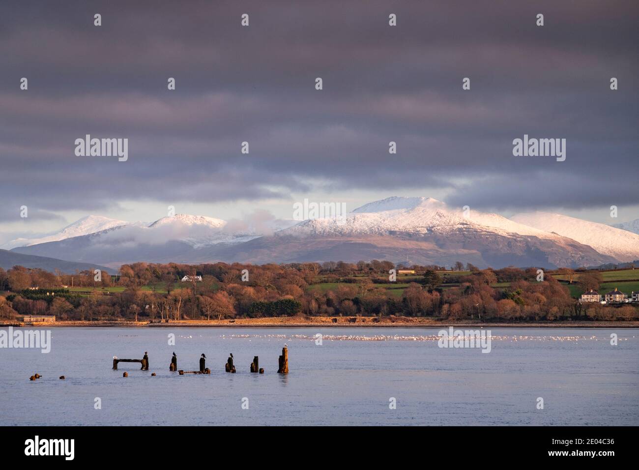 Menai Straits im Winter, Anglesey, Nordwales Stockfoto