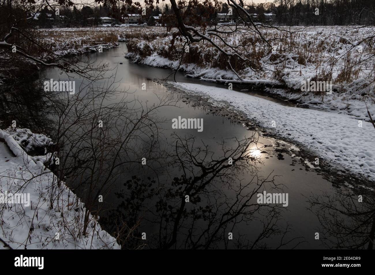 Sonnenreflexion in Sheridan Creek im Rattray Marsh Conservation Area Stockfoto