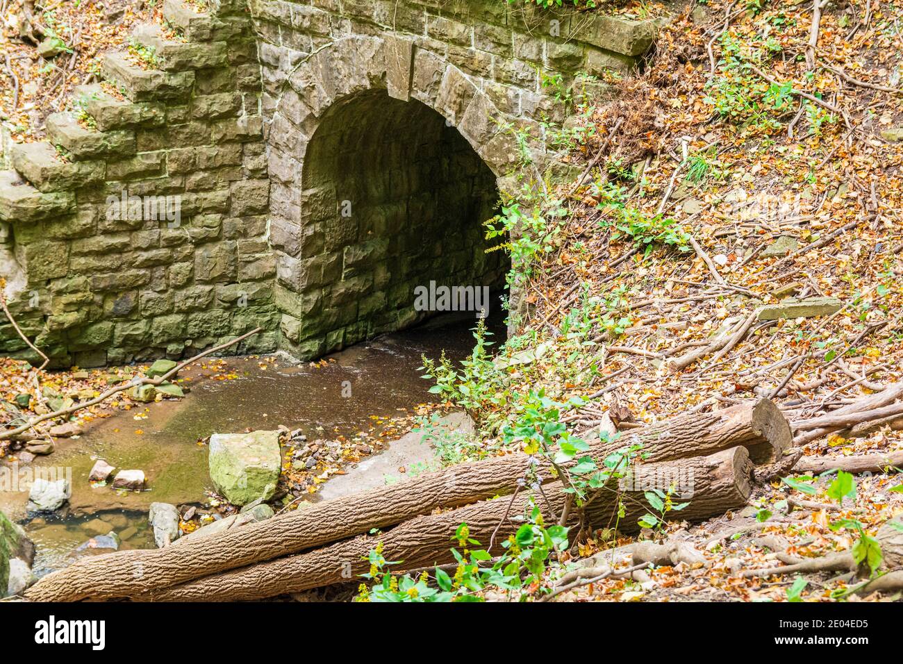 Tiffany Falls Conservation Area Dundas Valley Ancaster Ontario Kanada Stockfoto