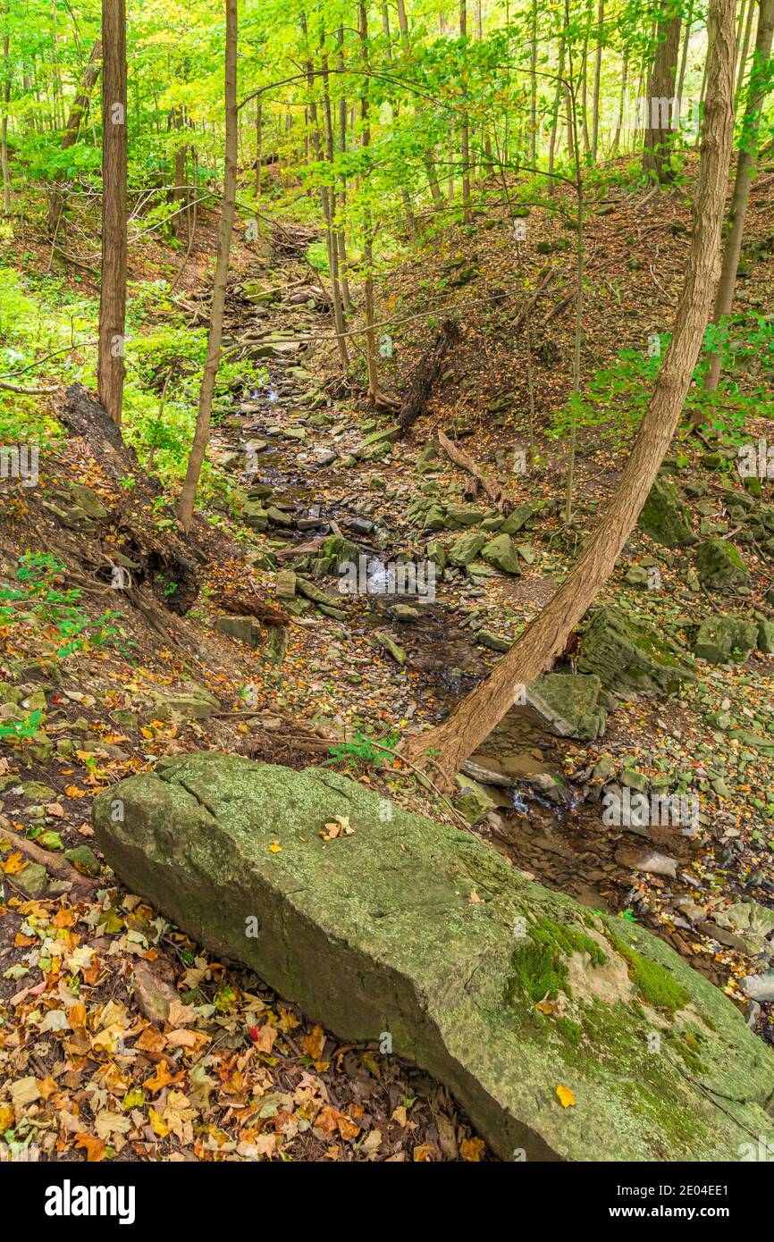 Tiffany Falls Conservation Area Dundas Valley Ancaster Ontario Kanada Stockfoto