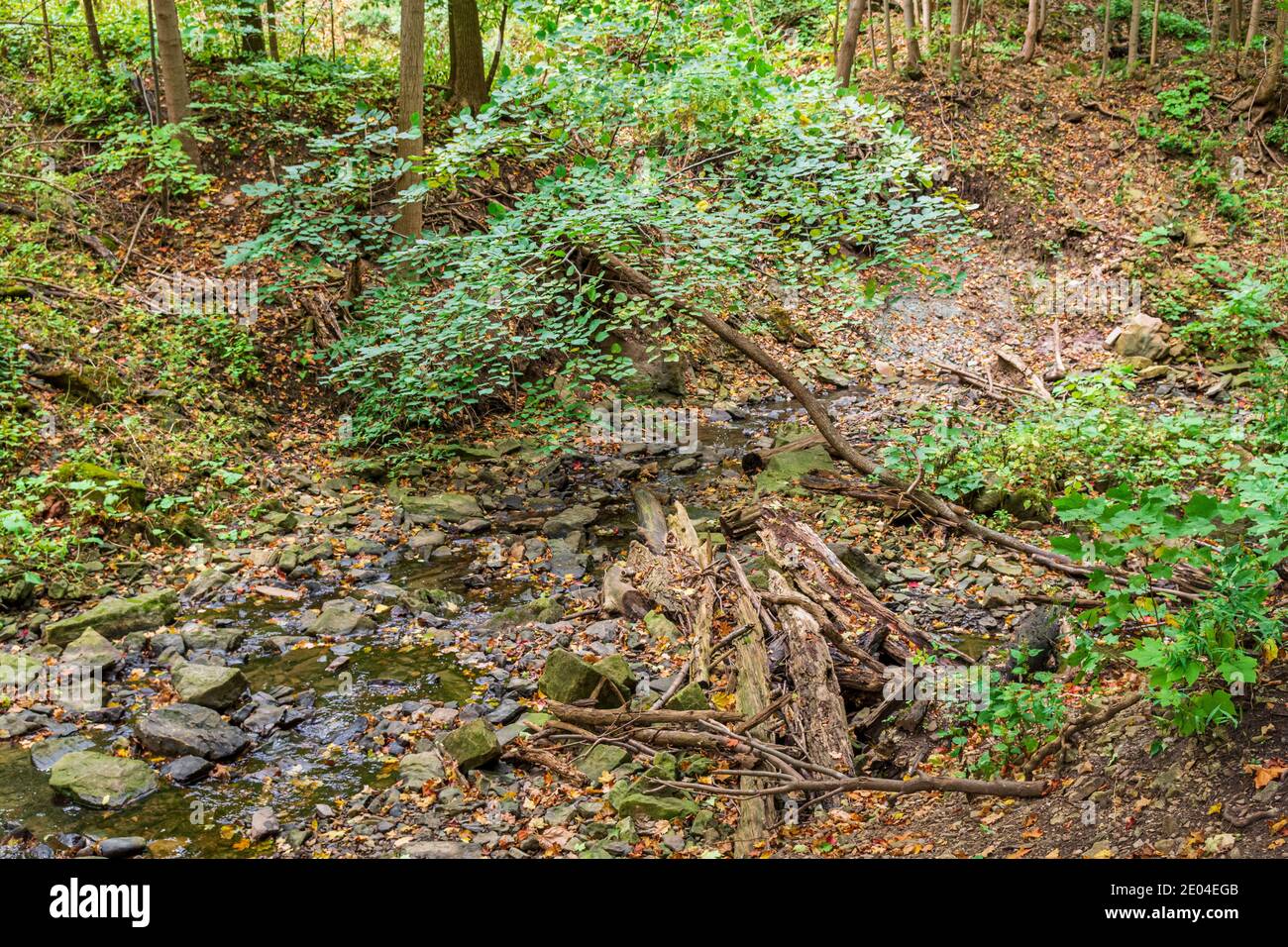 Tiffany Falls Conservation Area Dundas Valley Ancaster Ontario Kanada Stockfoto