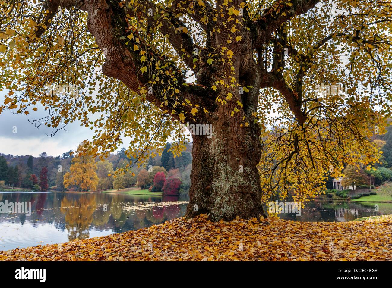 Seeszene im Herbst bei Stourhead in Wiltshire, England. Stockfoto