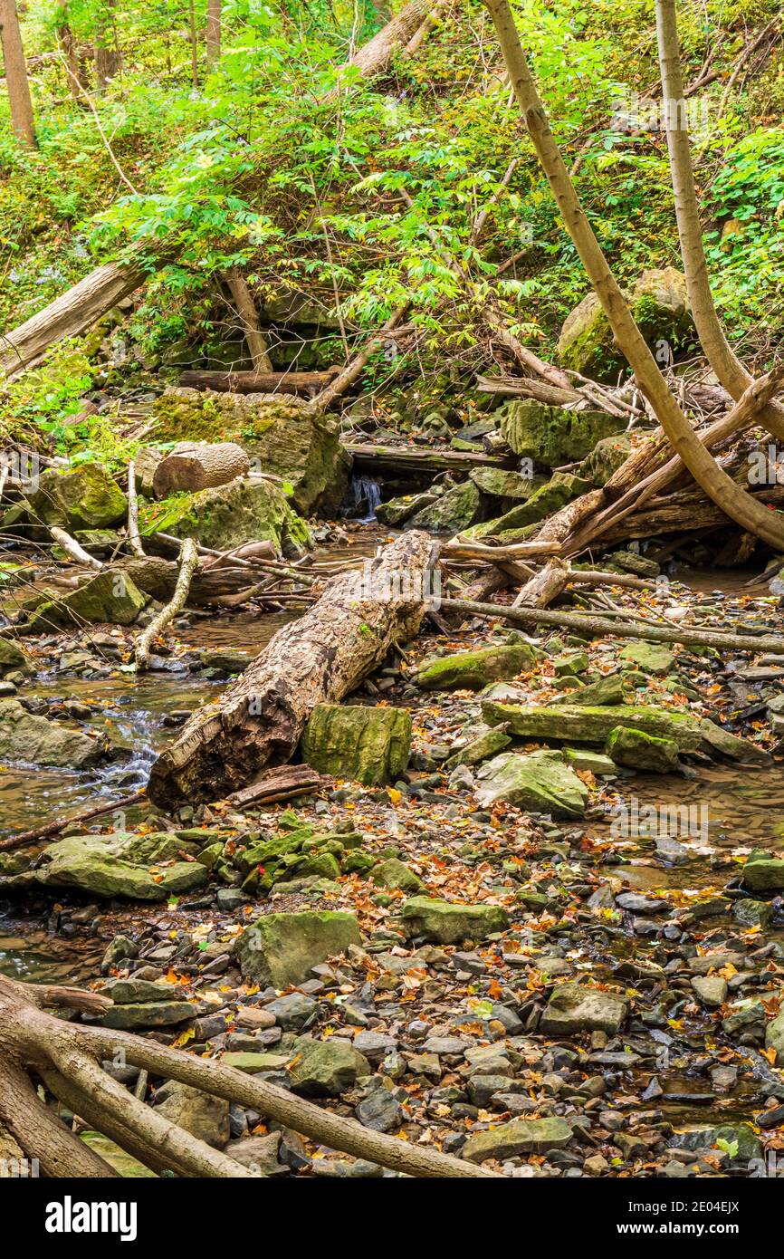 Tiffany Falls Conservation Area Dundas Valley Ancaster Ontario Kanada Stockfoto