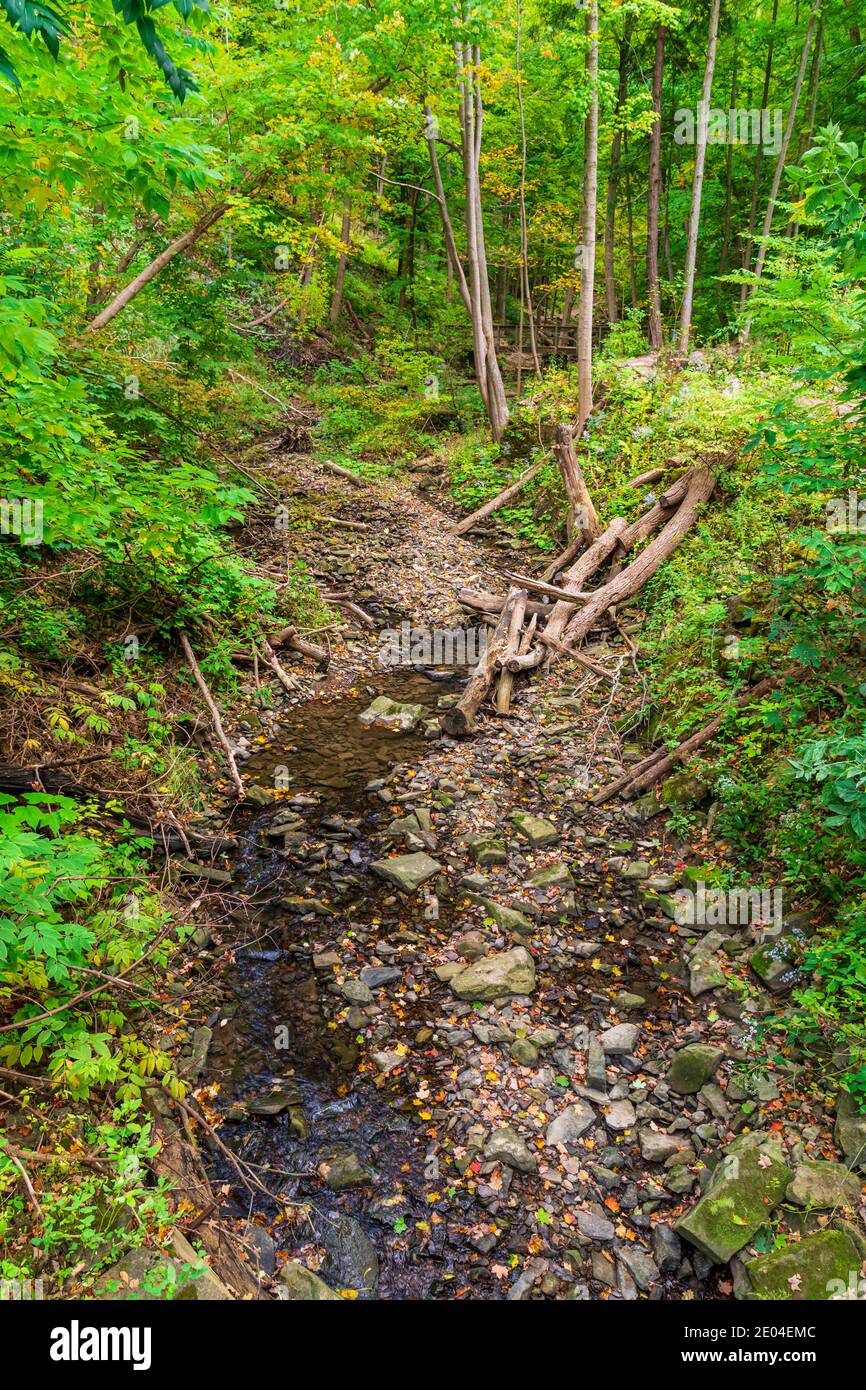 Tiffany Falls Conservation Area Dundas Valley Ancaster Ontario Kanada Stockfoto