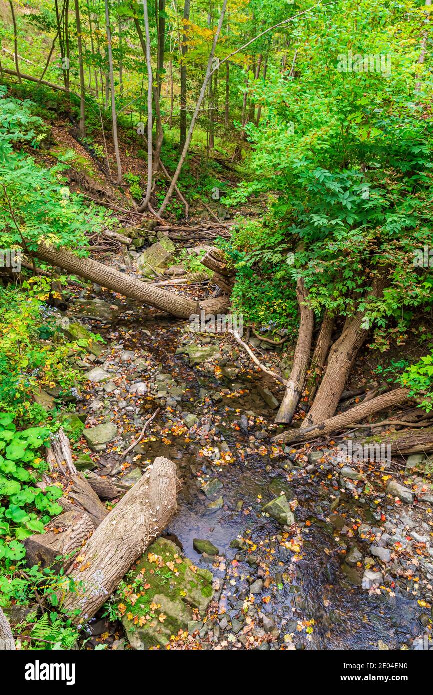 Tiffany Falls Conservation Area Dundas Valley Ancaster Ontario Kanada Stockfoto