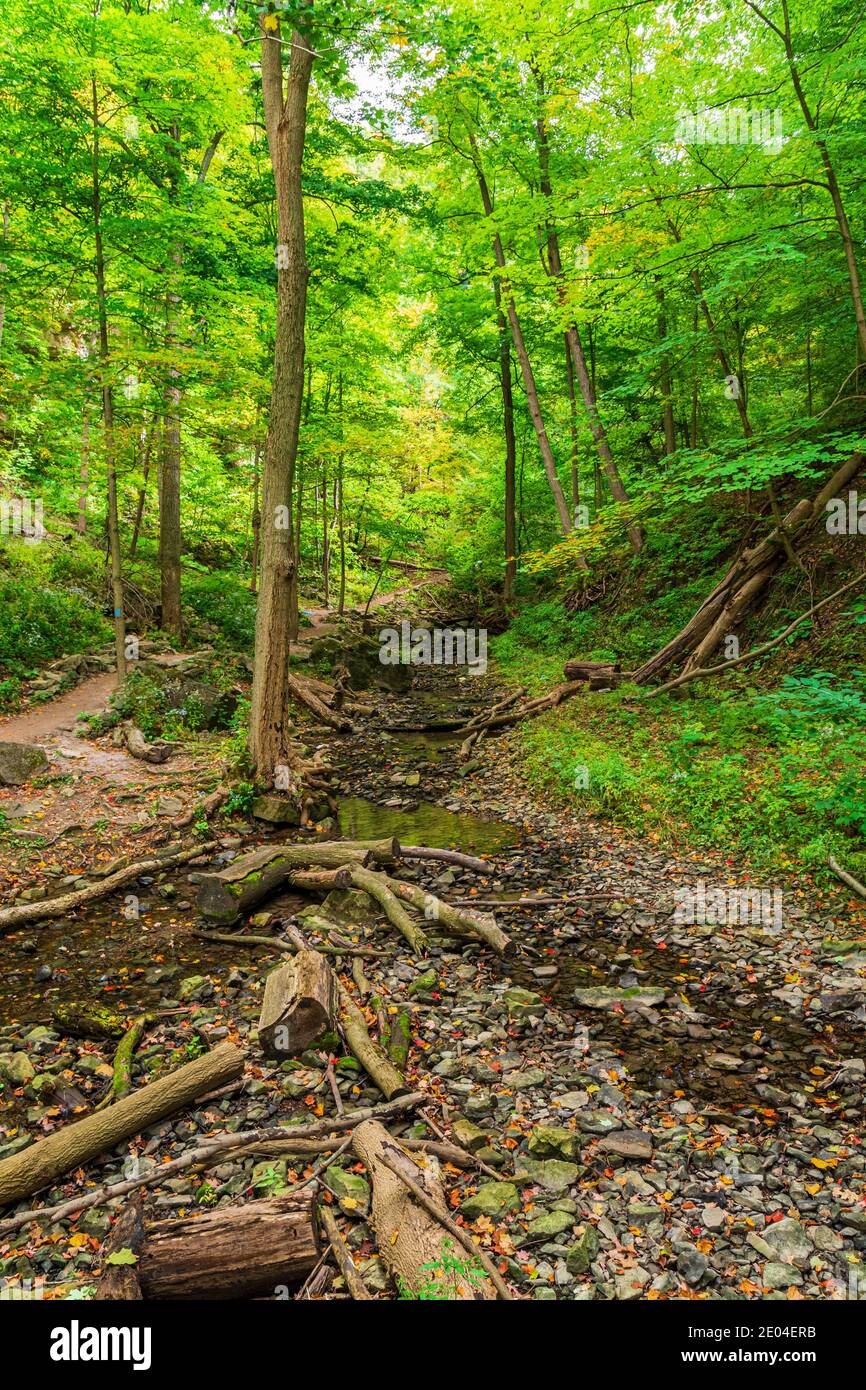 Tiffany Falls Conservation Area Dundas Valley Ancaster Ontario Kanada Stockfoto