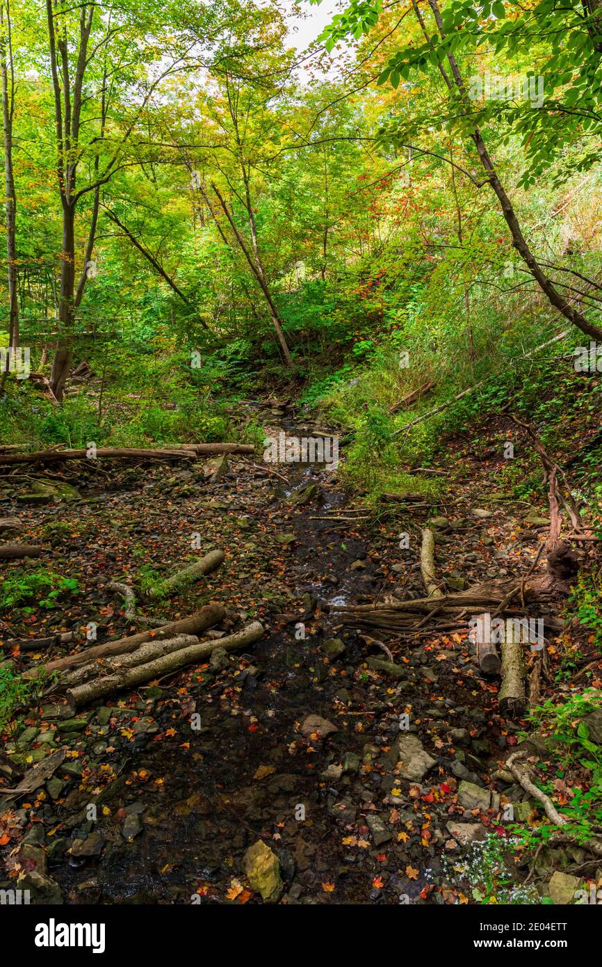 Tiffany Falls Conservation Area Dundas Valley Ancaster Ontario Kanada Stockfoto