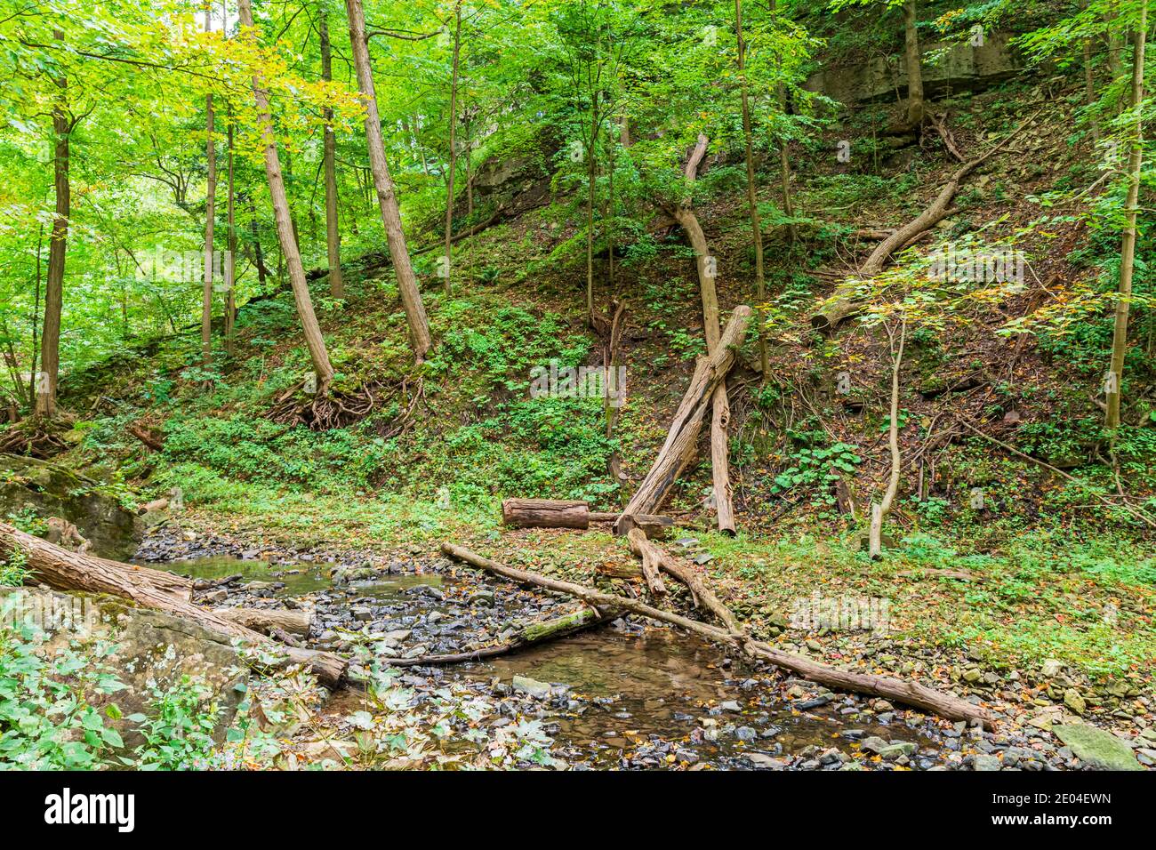 Tiffany Falls Conservation Area Dundas Valley Ancaster Ontario Kanada Stockfoto