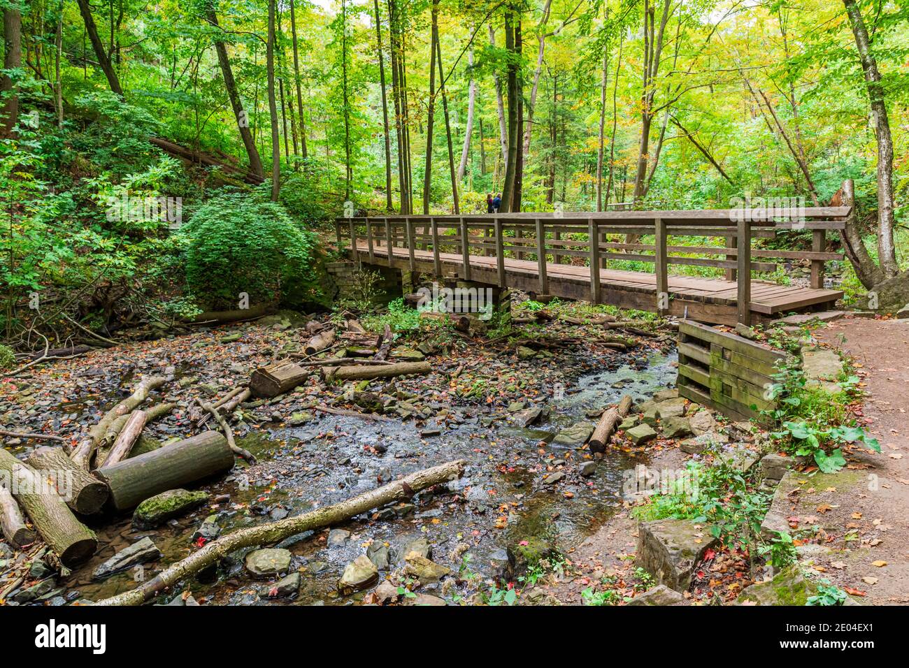 Tiffany Falls Conservation Area Dundas Valley Ancaster Ontario Kanada Stockfoto