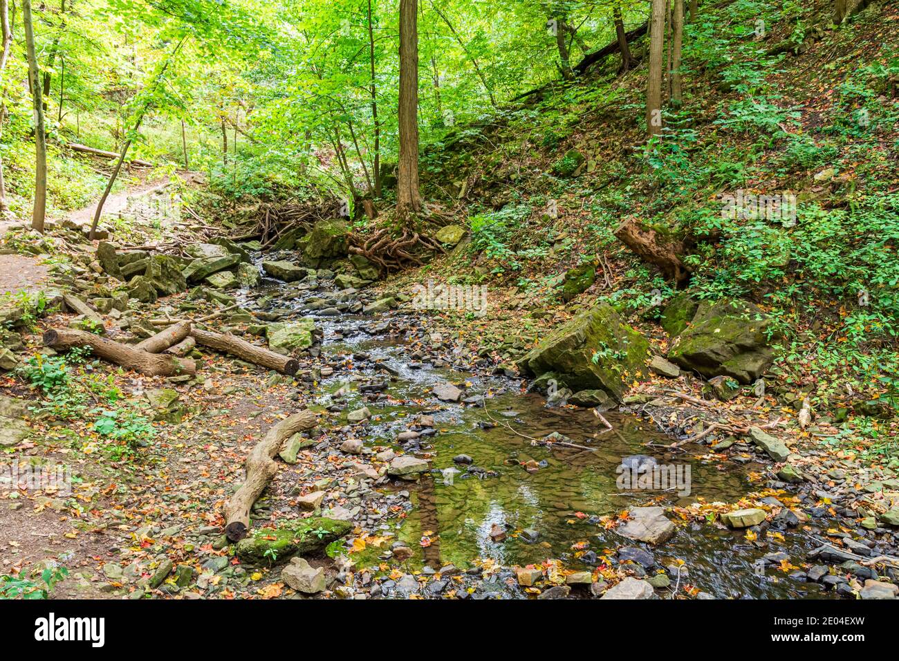 Tiffany Falls Conservation Area Dundas Valley Ancaster Ontario Kanada Stockfoto