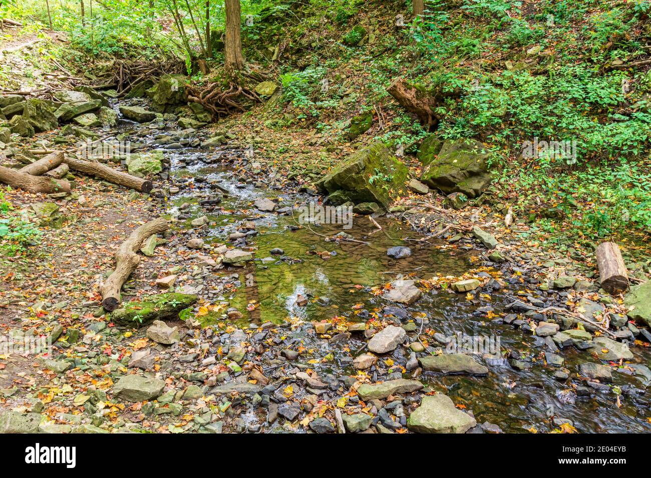 Tiffany Falls Conservation Area Dundas Valley Ancaster Ontario Kanada Stockfoto