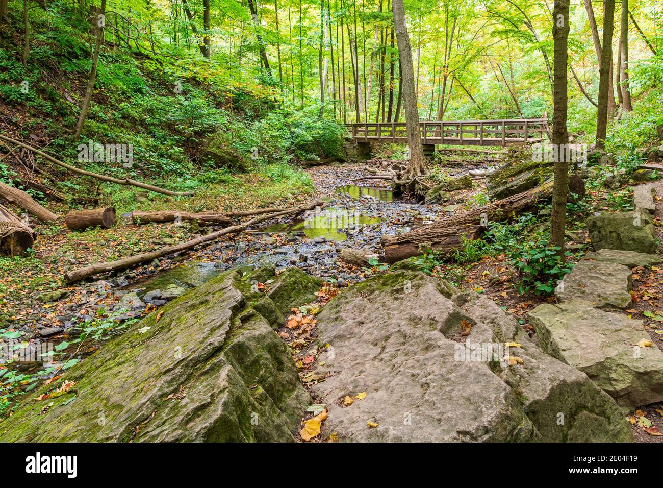 Tiffany Falls Conservation Area Dundas Valley Ancaster Ontario Kanada Stockfoto