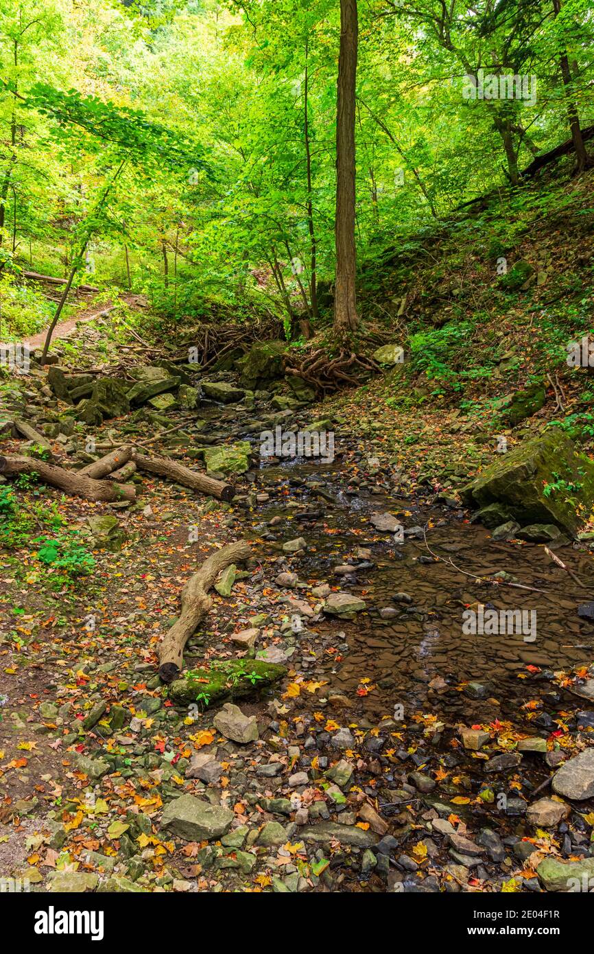 Tiffany Falls Conservation Area Dundas Valley Ancaster Ontario Kanada Stockfoto