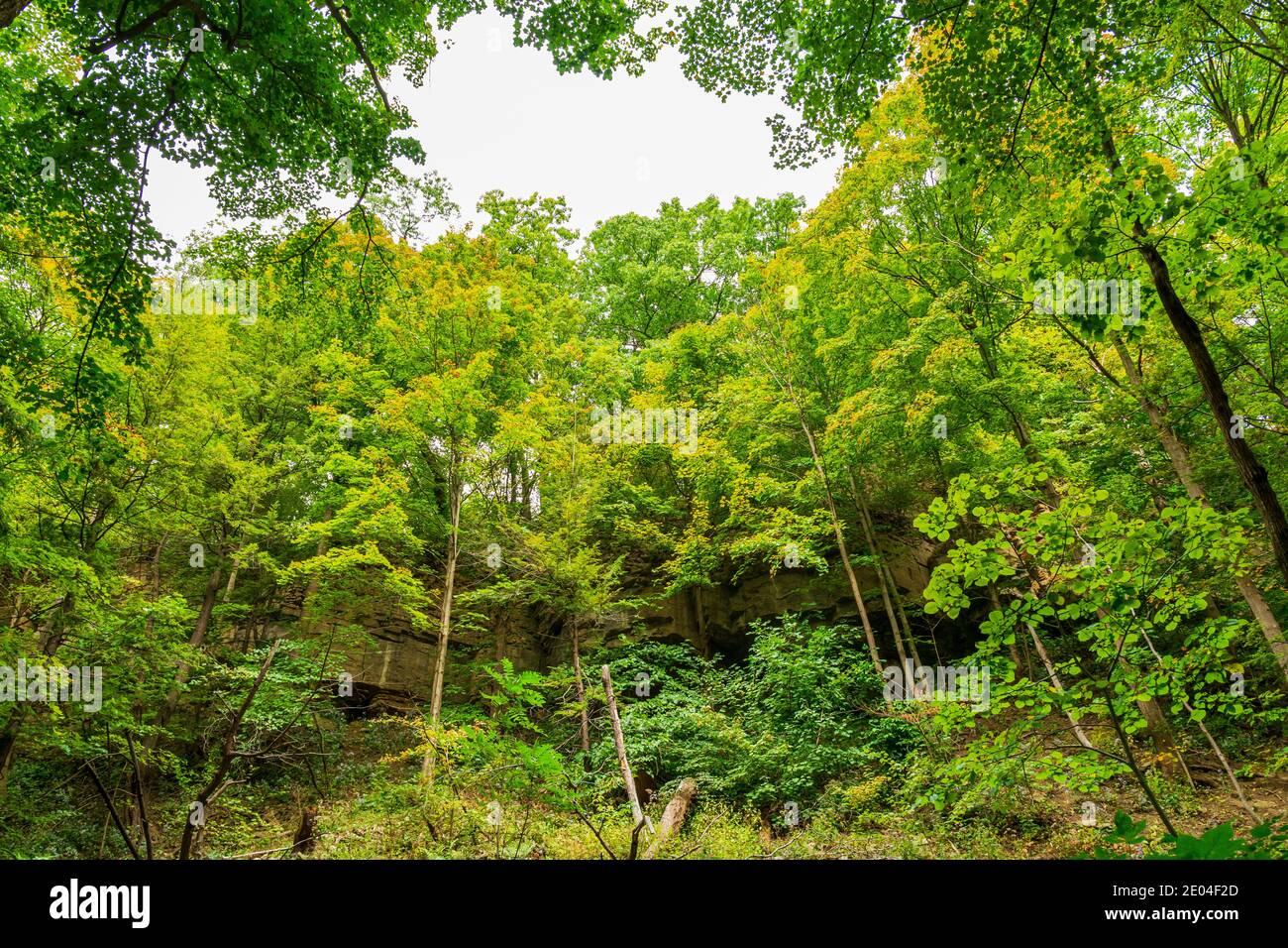 Tiffany Falls Conservation Area Dundas Valley Ancaster Ontario Kanada Stockfoto