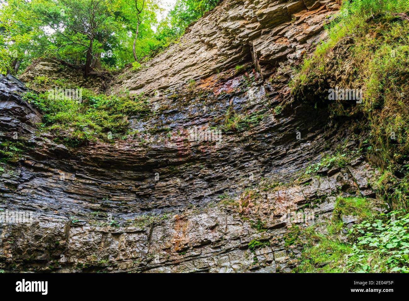 Tiffany Falls Conservation Area Dundas Valley Ancaster Ontario Kanada Stockfoto