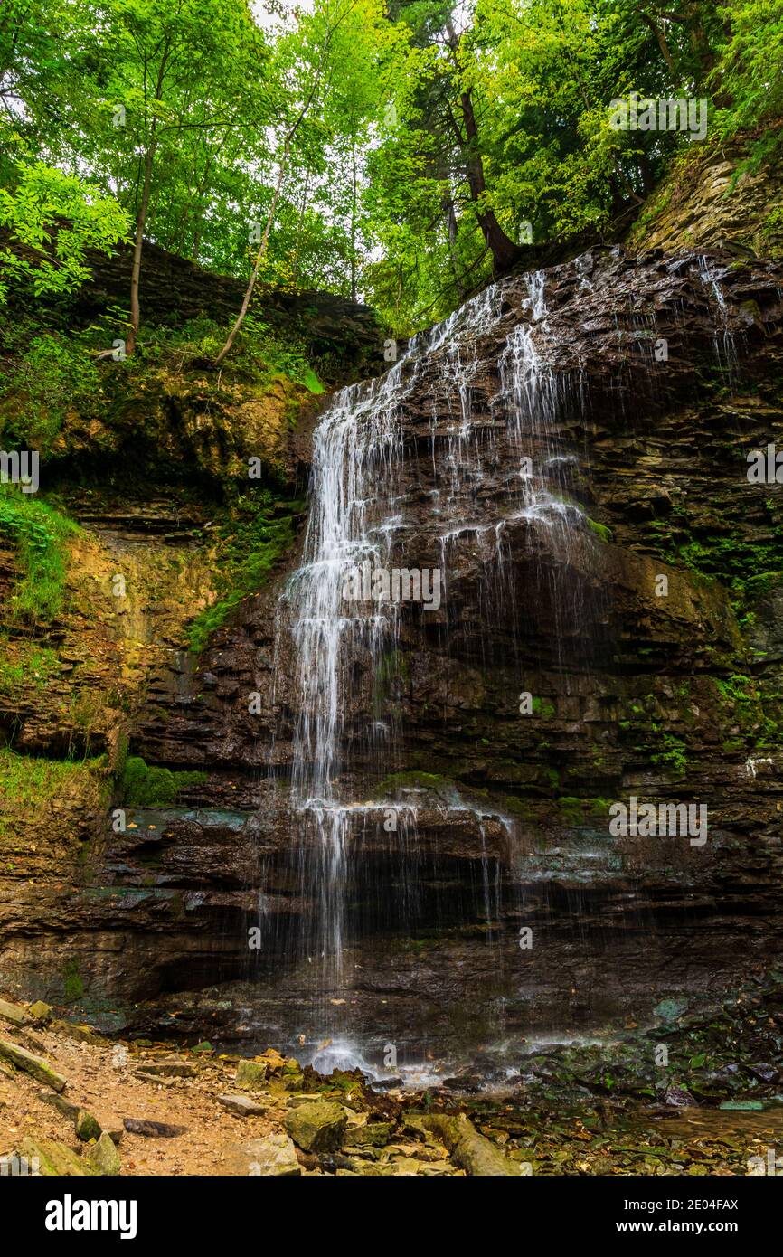 Tiffany Falls Conservation Area Dundas Valley Ancaster Ontario Kanada Stockfoto