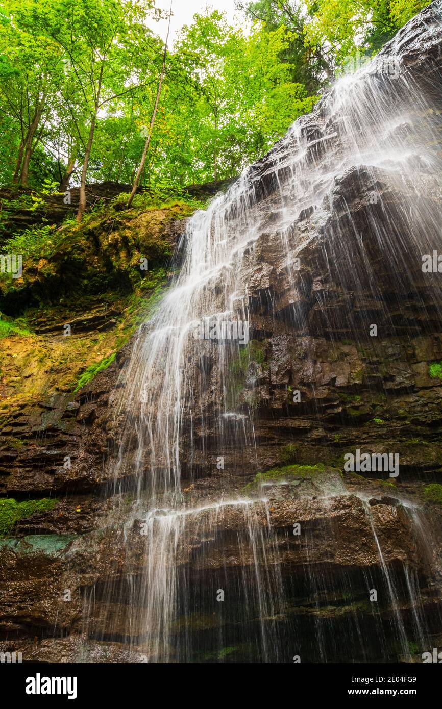 Tiffany Falls Conservation Area Dundas Valley Ancaster Ontario Kanada Stockfoto