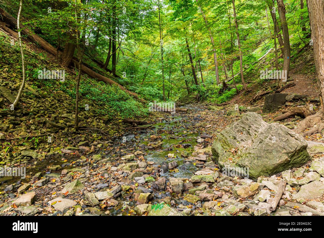 Tiffany Falls Conservation Area Dundas Valley Ancaster Ontario Kanada Stockfoto