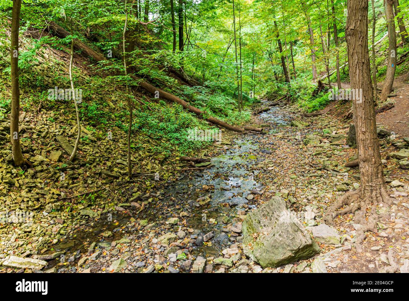 Tiffany Falls Conservation Area Dundas Valley Ancaster Ontario Kanada Stockfoto