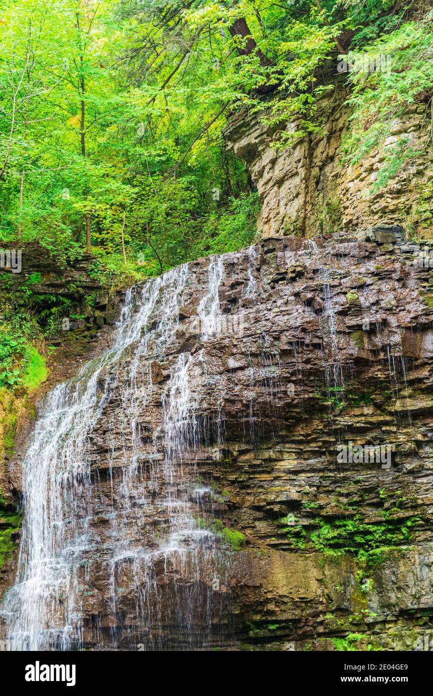 Tiffany Falls Conservation Area Dundas Valley Ancaster Ontario Kanada Stockfoto