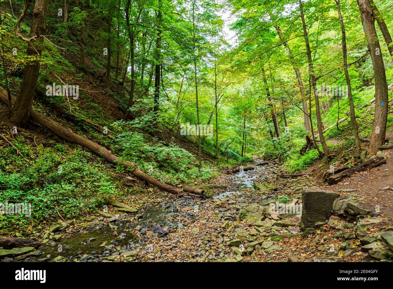 Tiffany Falls Conservation Area Dundas Valley Ancaster Ontario Kanada Stockfoto