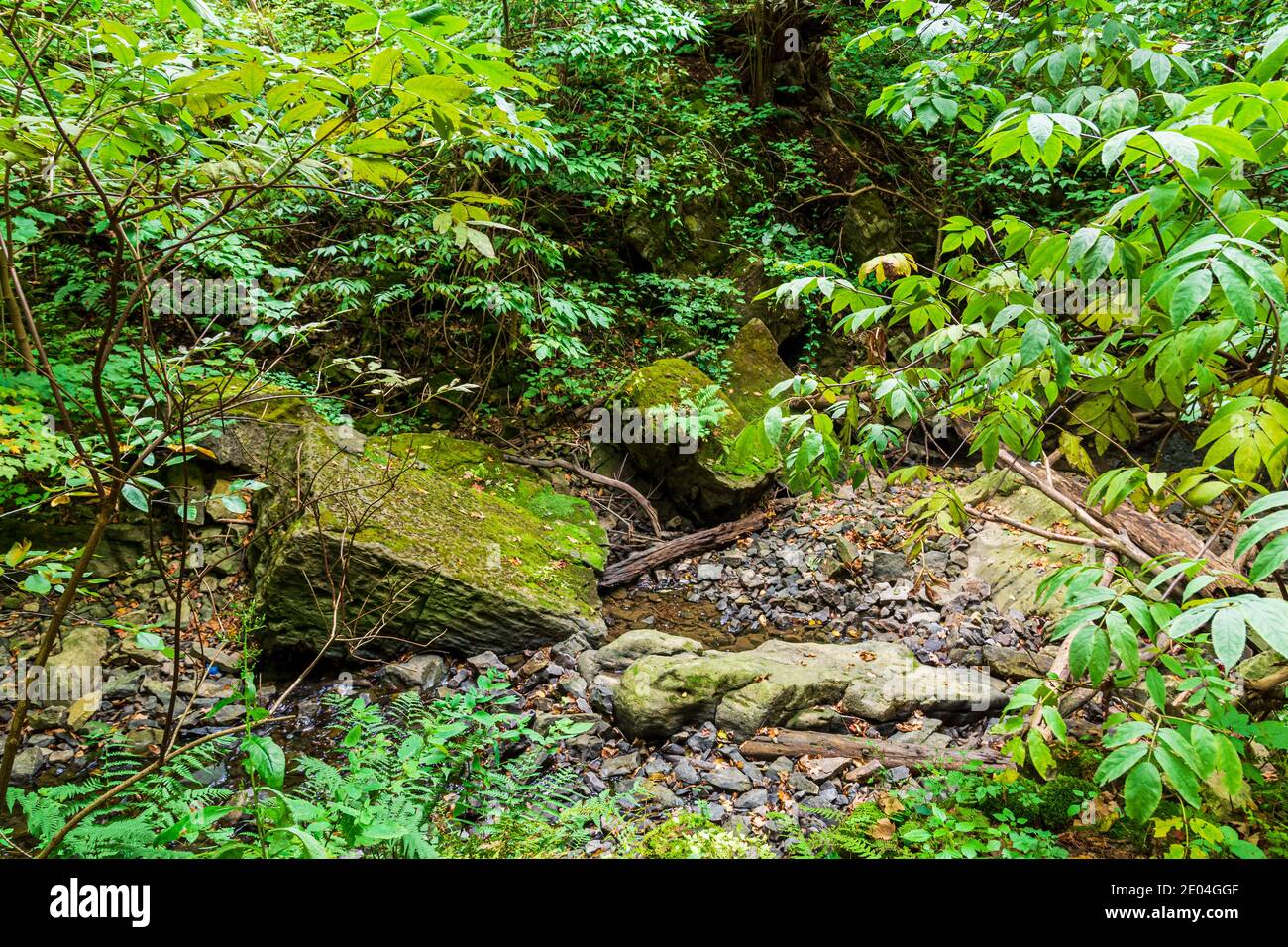 Tiffany Falls Conservation Area Dundas Valley Ancaster Ontario Kanada Stockfoto