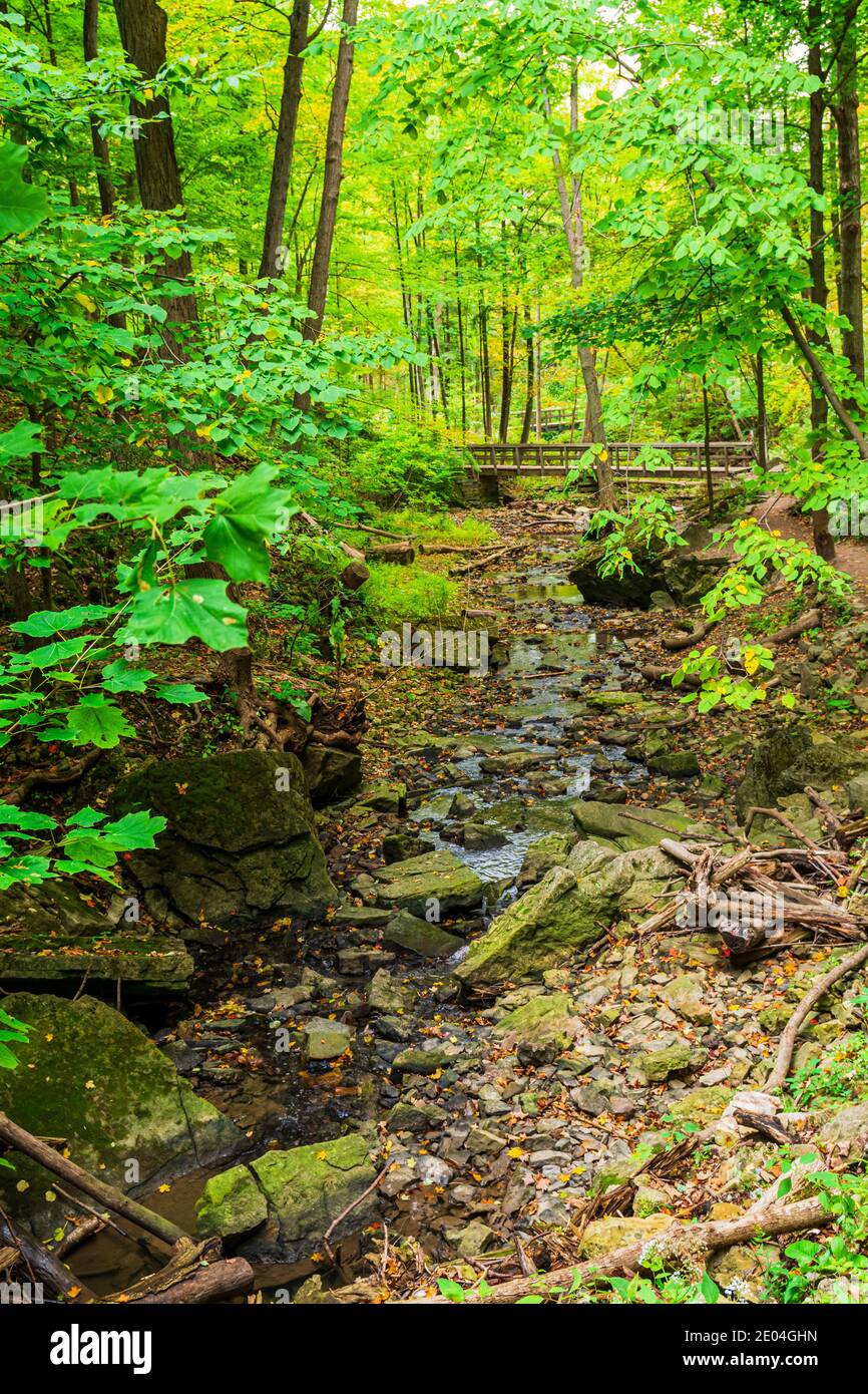 Tiffany Falls Conservation Area Dundas Valley Ancaster Ontario Kanada Stockfoto