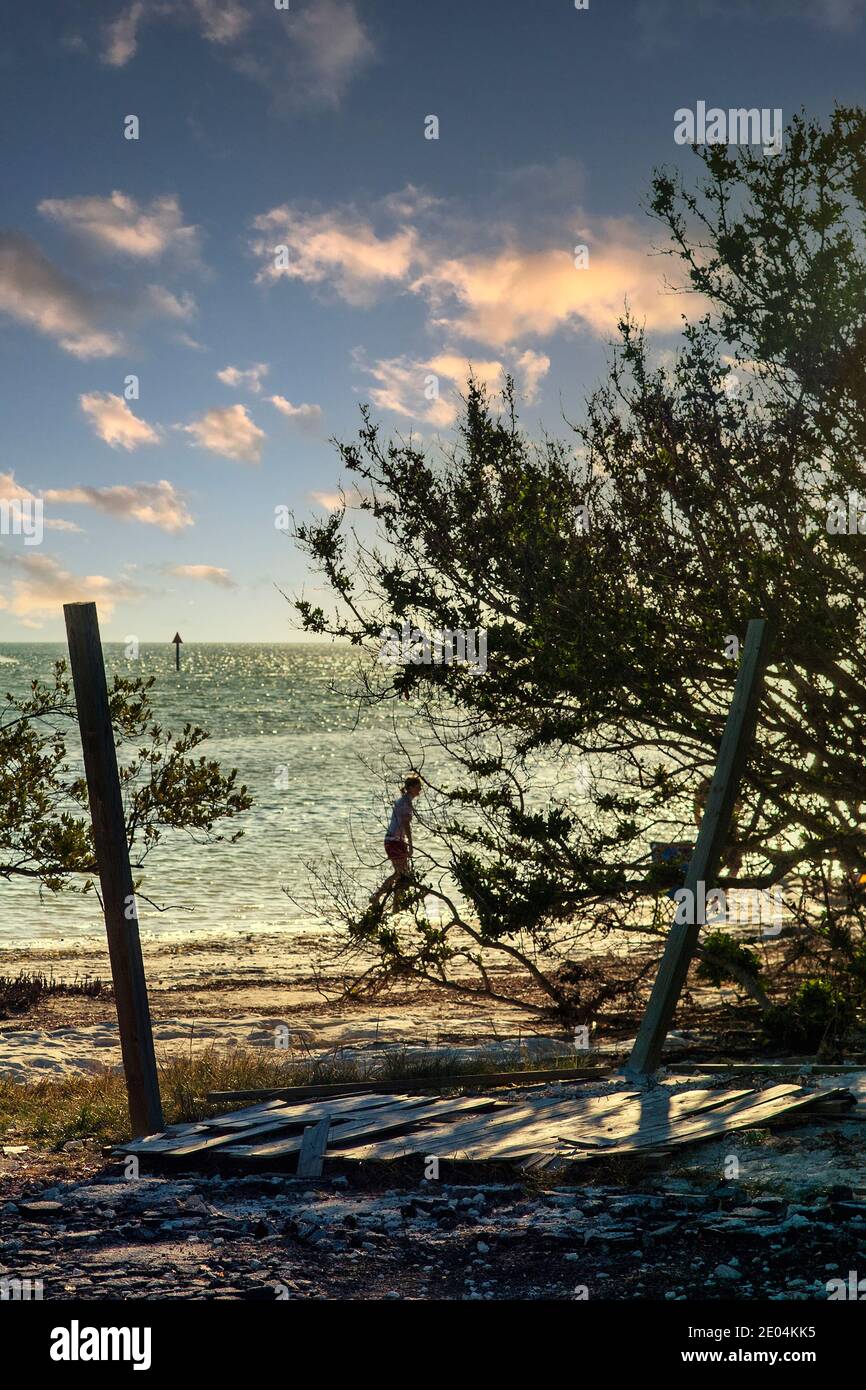 Am späten Nachmittag entlang des Atlantiks im Anne's Beach County Park in den Flroida Keys. Stockfoto