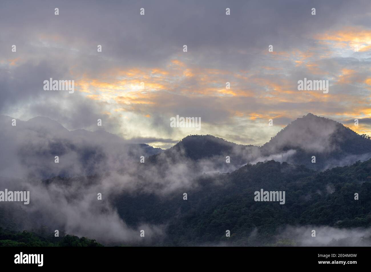 Sonnenaufgang mit Nebel und Nebel im Nebelwald Andengipfel, Mindo, Ecuador. Stockfoto