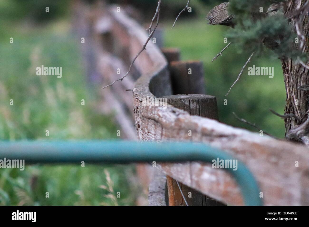 Nahaufnahme von alten Holzzaun auf der Weide. Hochwertige Fotos Stockfoto