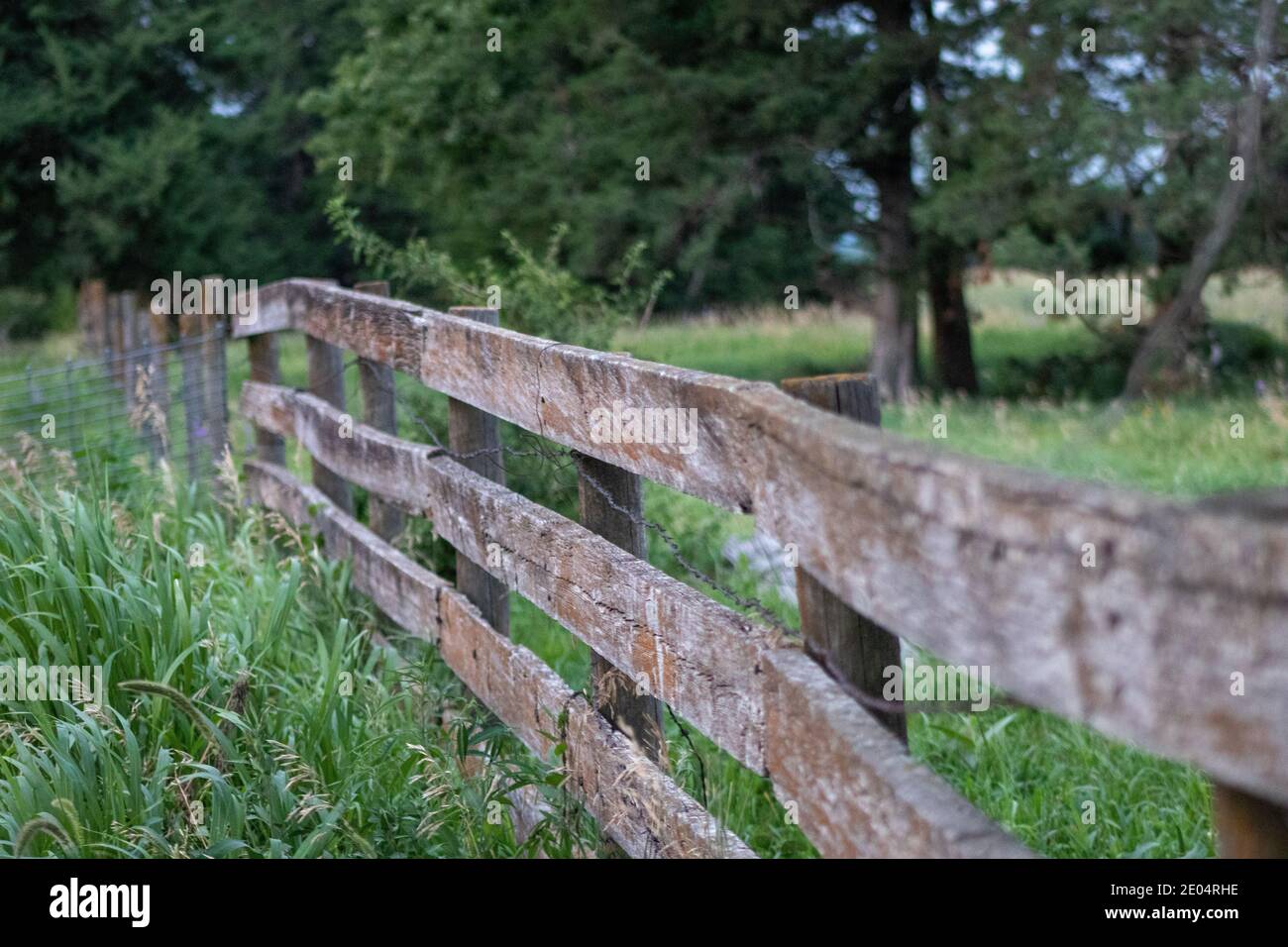 Nahaufnahme von alten Holzzaun auf der Weide. Hochwertige Fotos Stockfoto