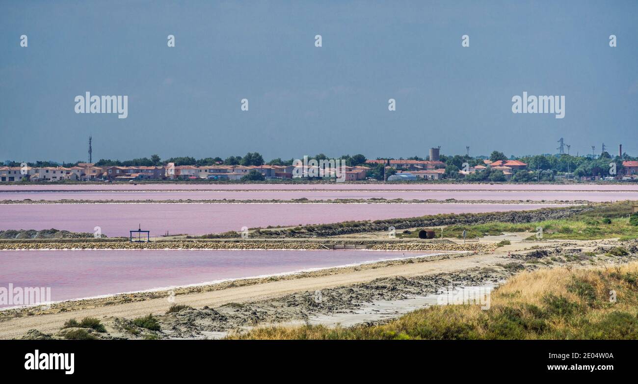 Die rosafarbene Oberfläche der parténants für die Gewinnung von natürlichem Meersalz in Salin de Giraud, gelegen im südöstlichen Delta der Camargue der Rhone Stockfoto
