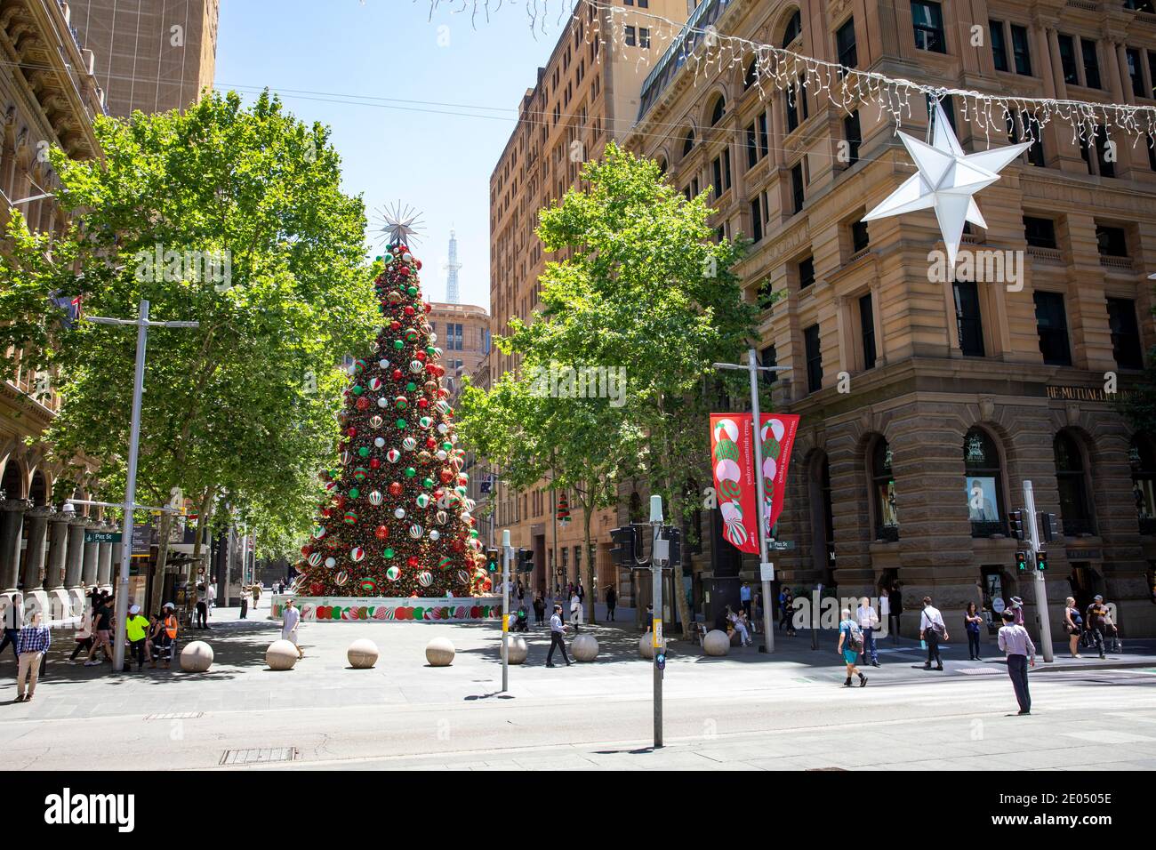 Sydney feiert Weihnachten mit riesigen Weihnachtsbaum und Dekorationen errichtet Im Martin Place, Stadtzentrum von Sydney, NSW, Australien Stockfoto
