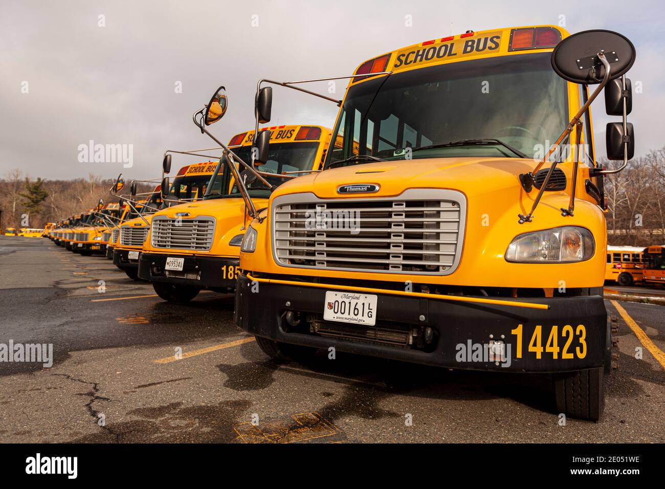 Bethesda, MD, USA 12-21-2020: Nahaufnahme selektiver Fokus Frontalansicht einer Schulbusflotte auf einem Parkplatz. Diese sind gelb Thomas SAF-T-Liner C2 veh Stockfoto