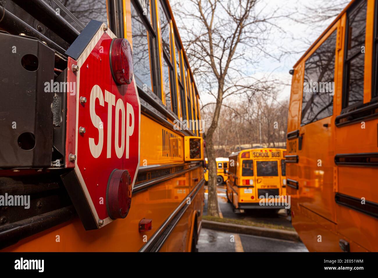 Nahaufnahme eines gelben amerikanischen Schulbusses mit selektivem Fokus auf dem Stoppschild auf der Seite. Busse parken an benachbarten Stellen auf Parkplätzen. Stockfoto