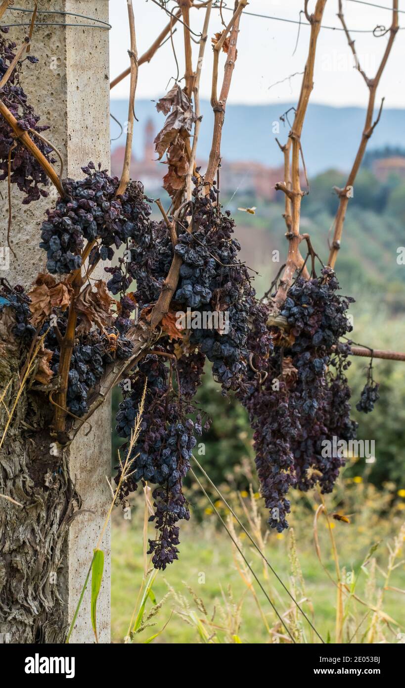Umbrien oder toskana Fotos und Bildmaterial in hoher Auflösung Alamy
