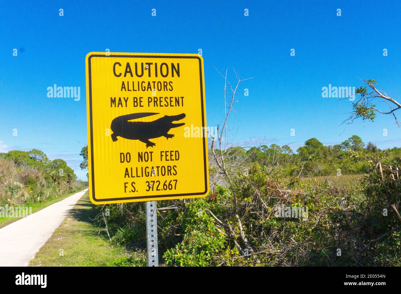 Warnschild Alligatoren in der Gegend Florida Stockfoto