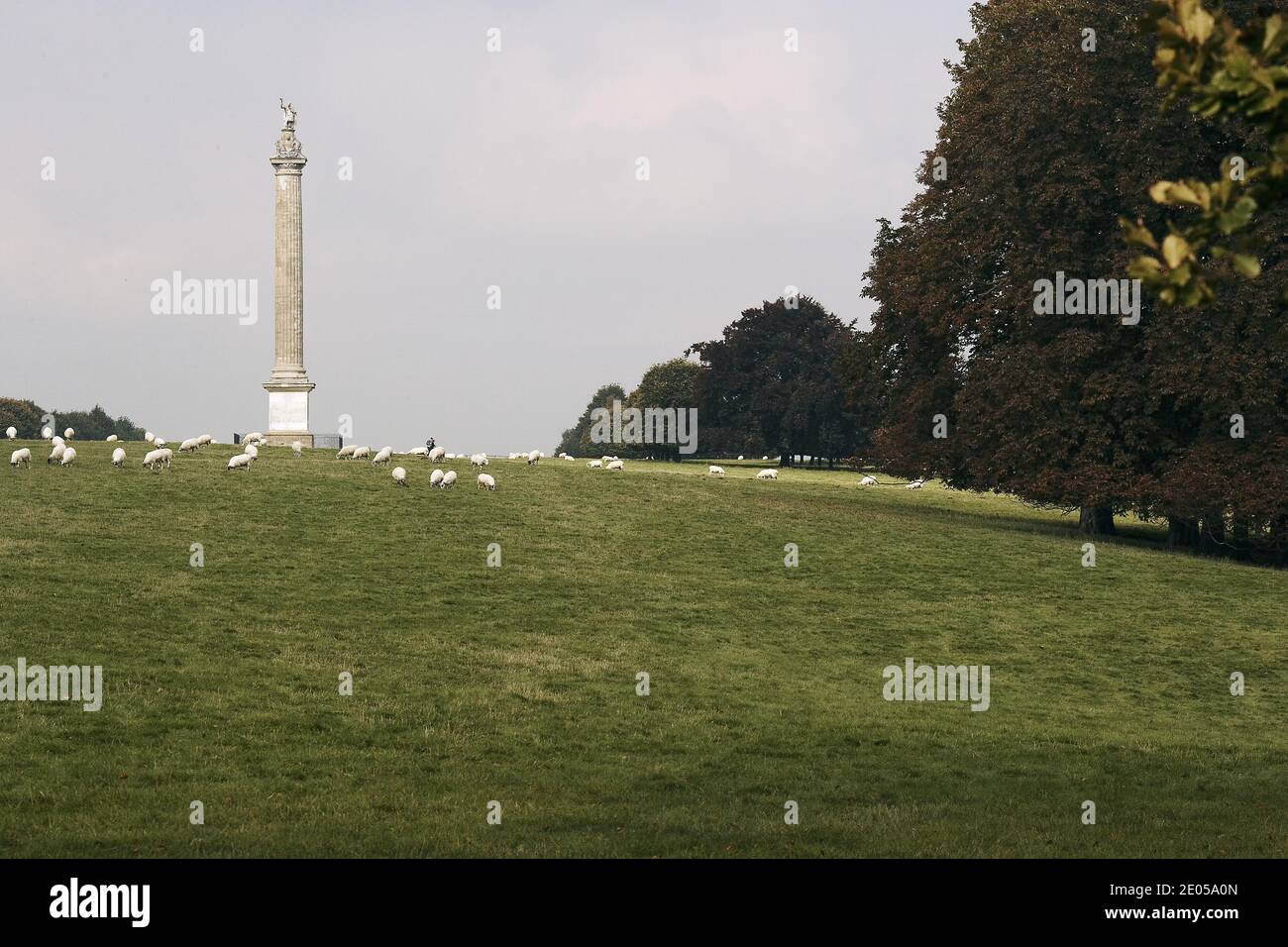 Die Siegessäule im Schloss Blenheim Stockfoto