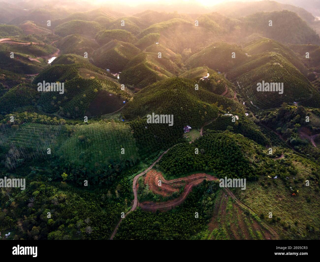 Das Dai Lao Gebirge, Bao Loc Bezirk, Lam Dong Provinz, Vietnam Stockfoto