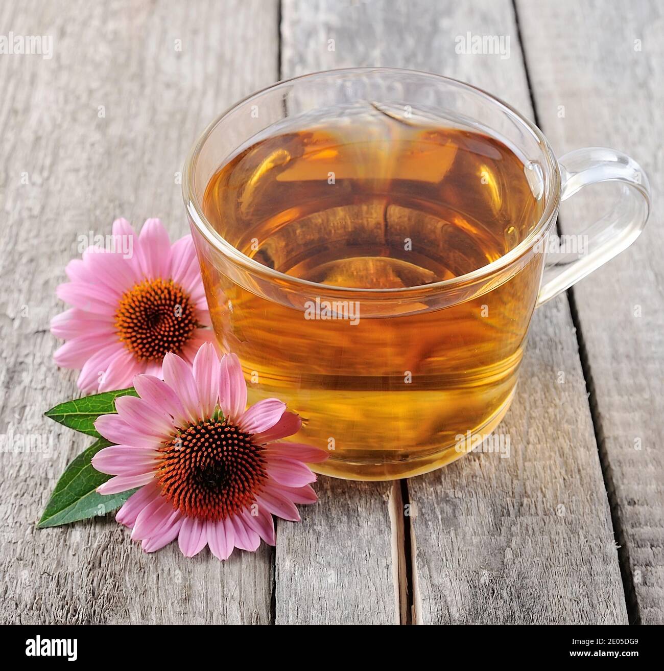 Echinacea Tee Nahaufnahme auf Holzhintergrund. Heiltee. Stockfoto