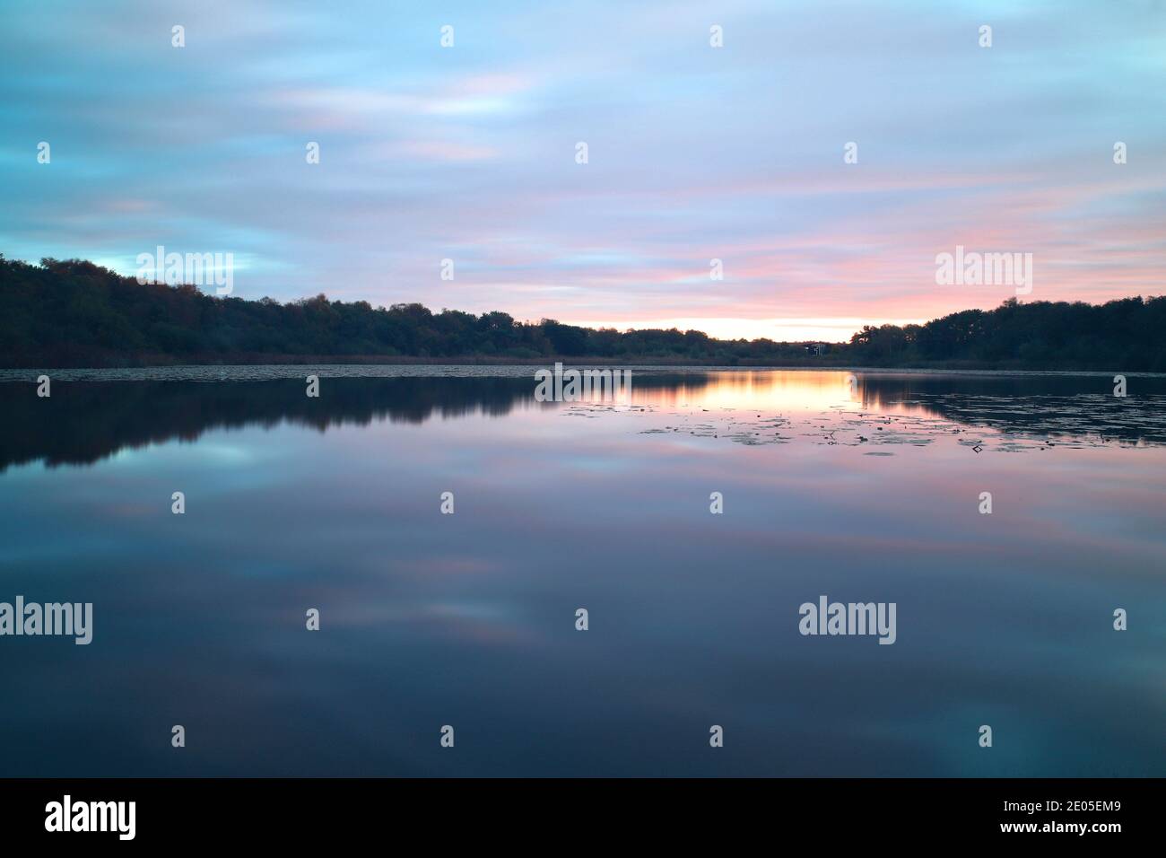 Eine lange Belichtung fängt rosa und violette Streifen ein, während die Wolken durch den Himmel driften und die Sonne über Hatch Pond, Dorset, aufzugehen beginnt. Stockfoto